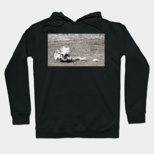 Death in a Dead Lake. The Stark reality of Climate Change, Tanzania Hoodie